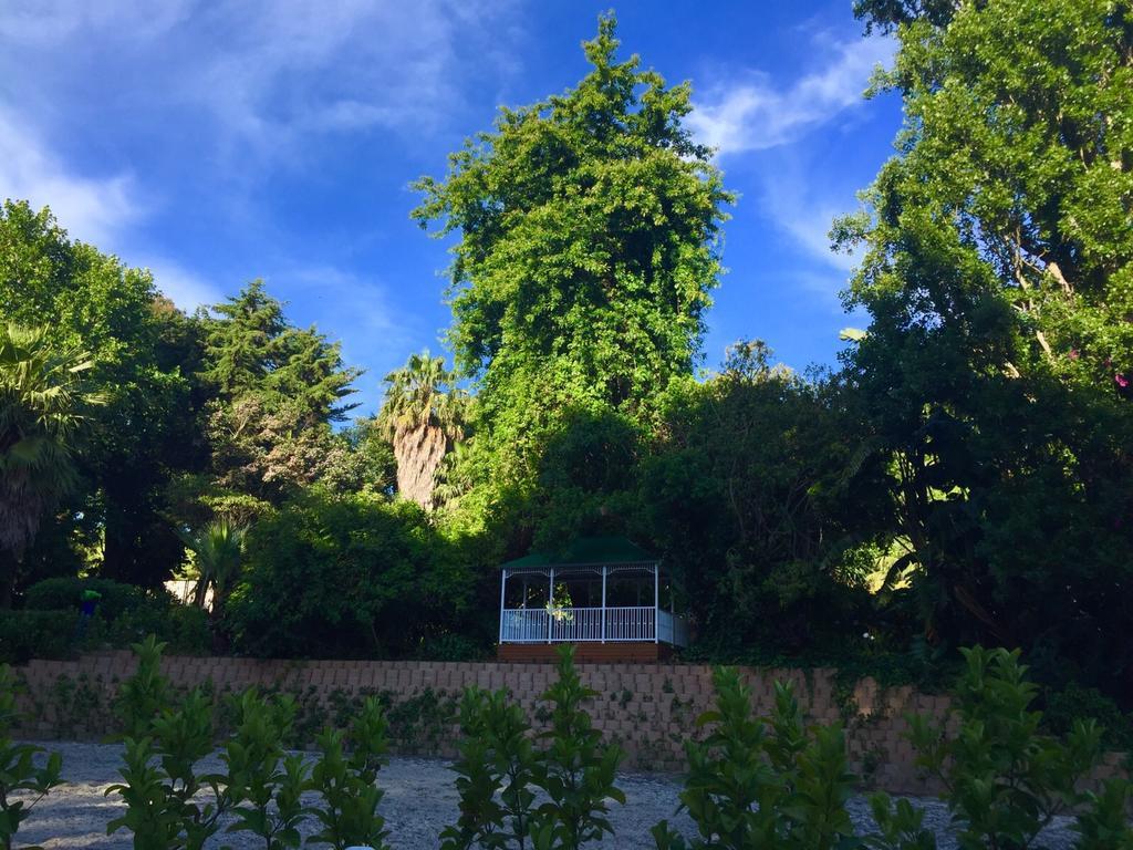 The White Manor Bed and Breakfast Kaapstad Buitenkant foto